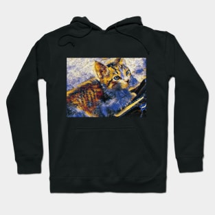 Abstract Colorful Cat Painting Hoodie